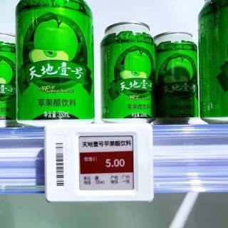 Montagerail E-DT02 voor ESL