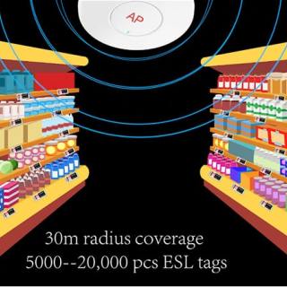 Introductie van ESL-oplossing