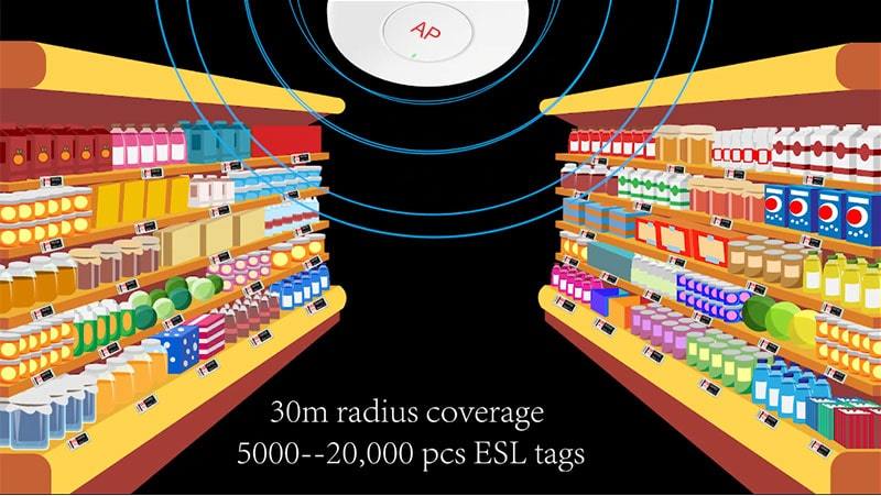 Introductie van ESL-oplossing